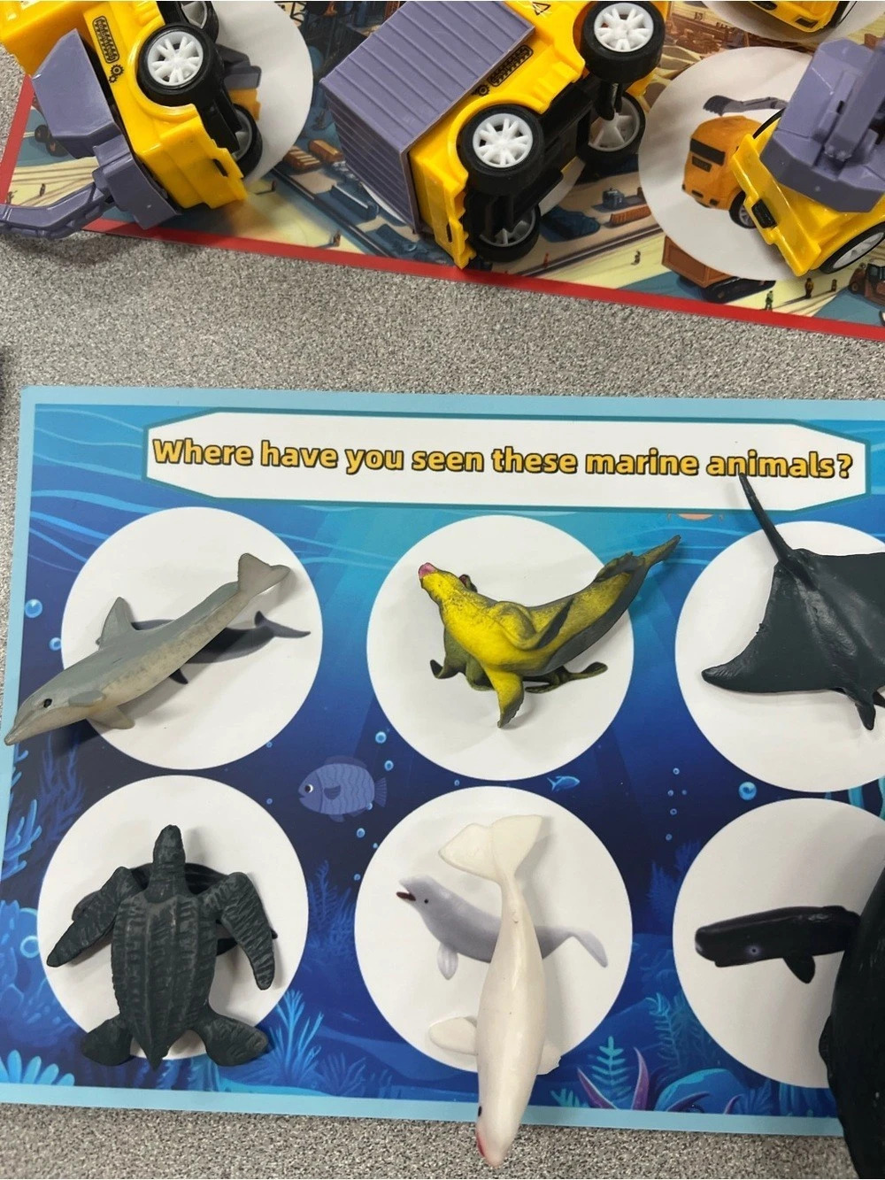 Learning sorting activity - Picture 13 of 13